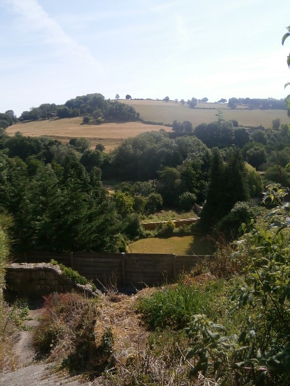 Photo of countryside