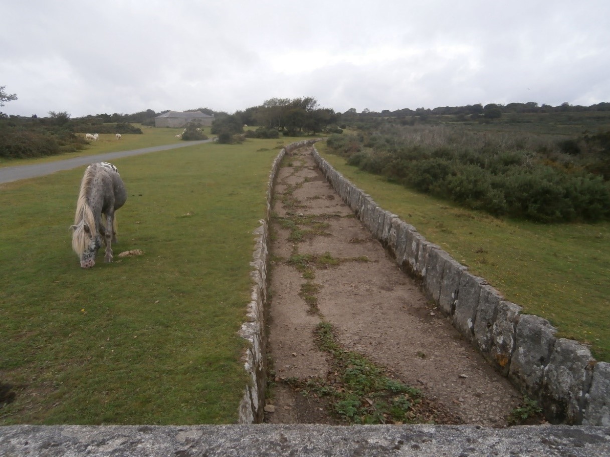 Photo of Clearbrook Leat, Dartmoor - ponies
