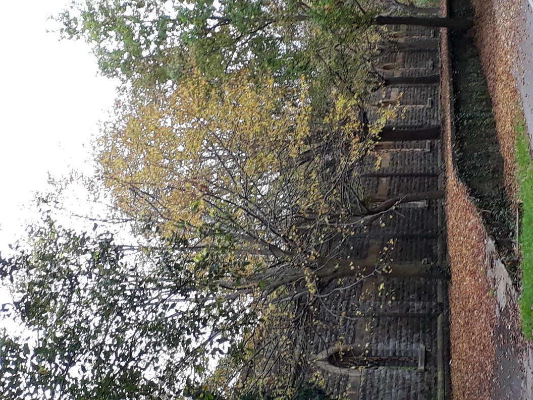 Autumnal view at the former Mangotsfield Station