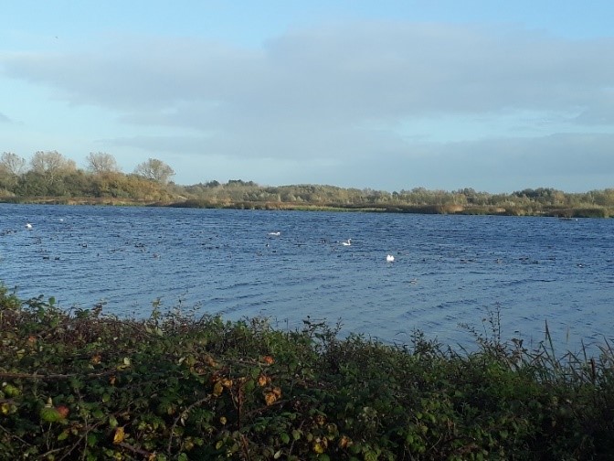 View of Cotswold Water Park - lake near Ashton Keynes