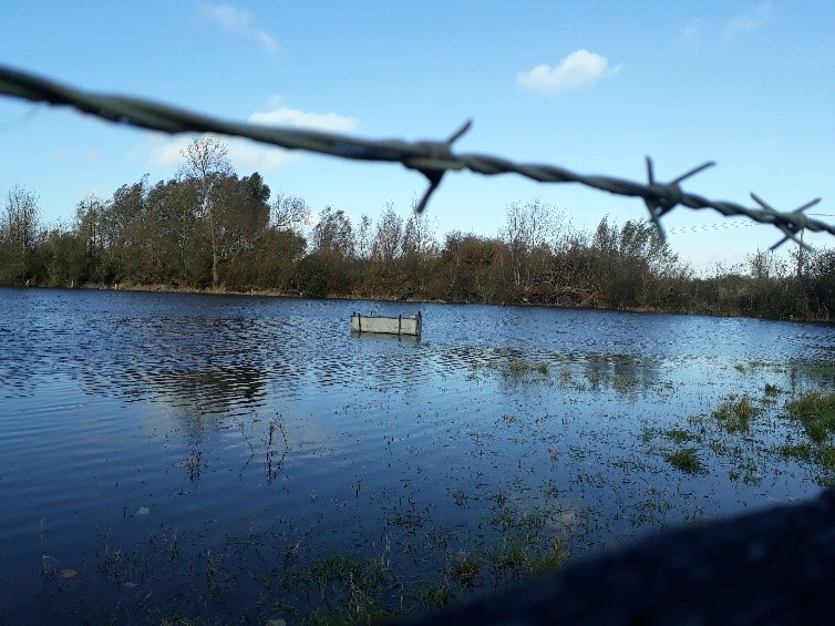 Flooded field by Waterhay car park