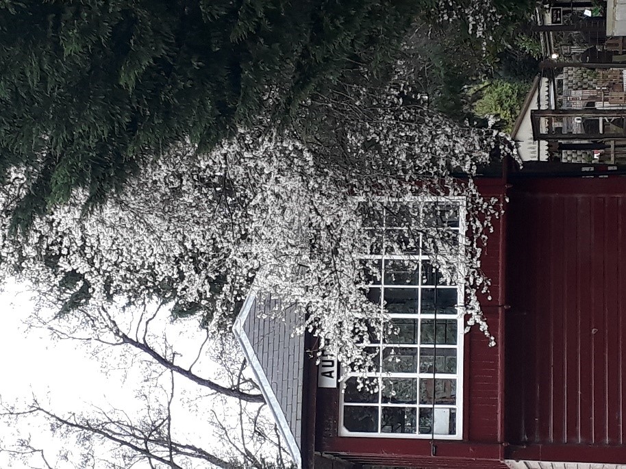 Brookside Miniature Railway Signal Box