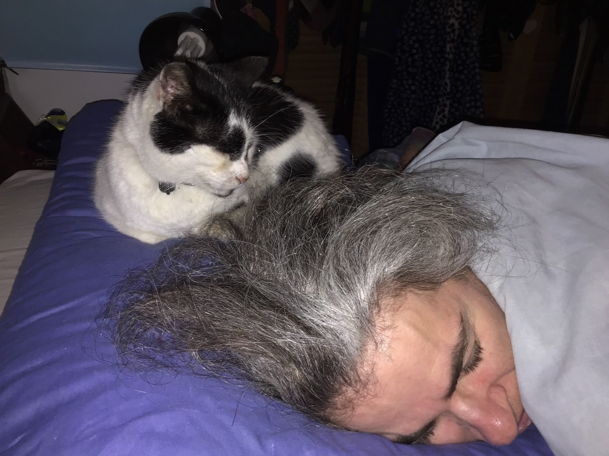 Herbie asleep by Mary’s head