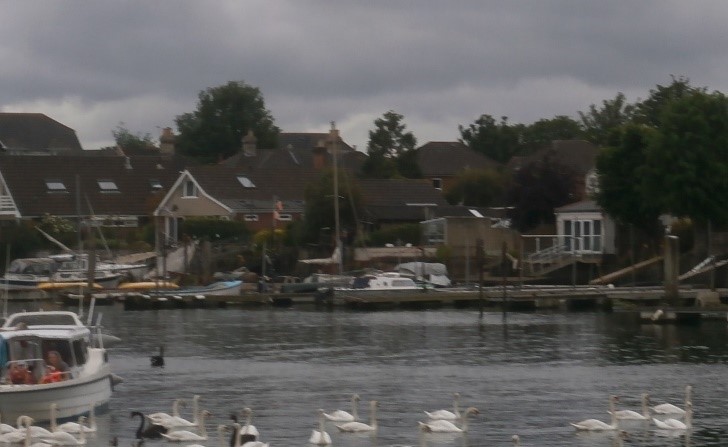 Photo of Riverside Park, Southampton - including black swans