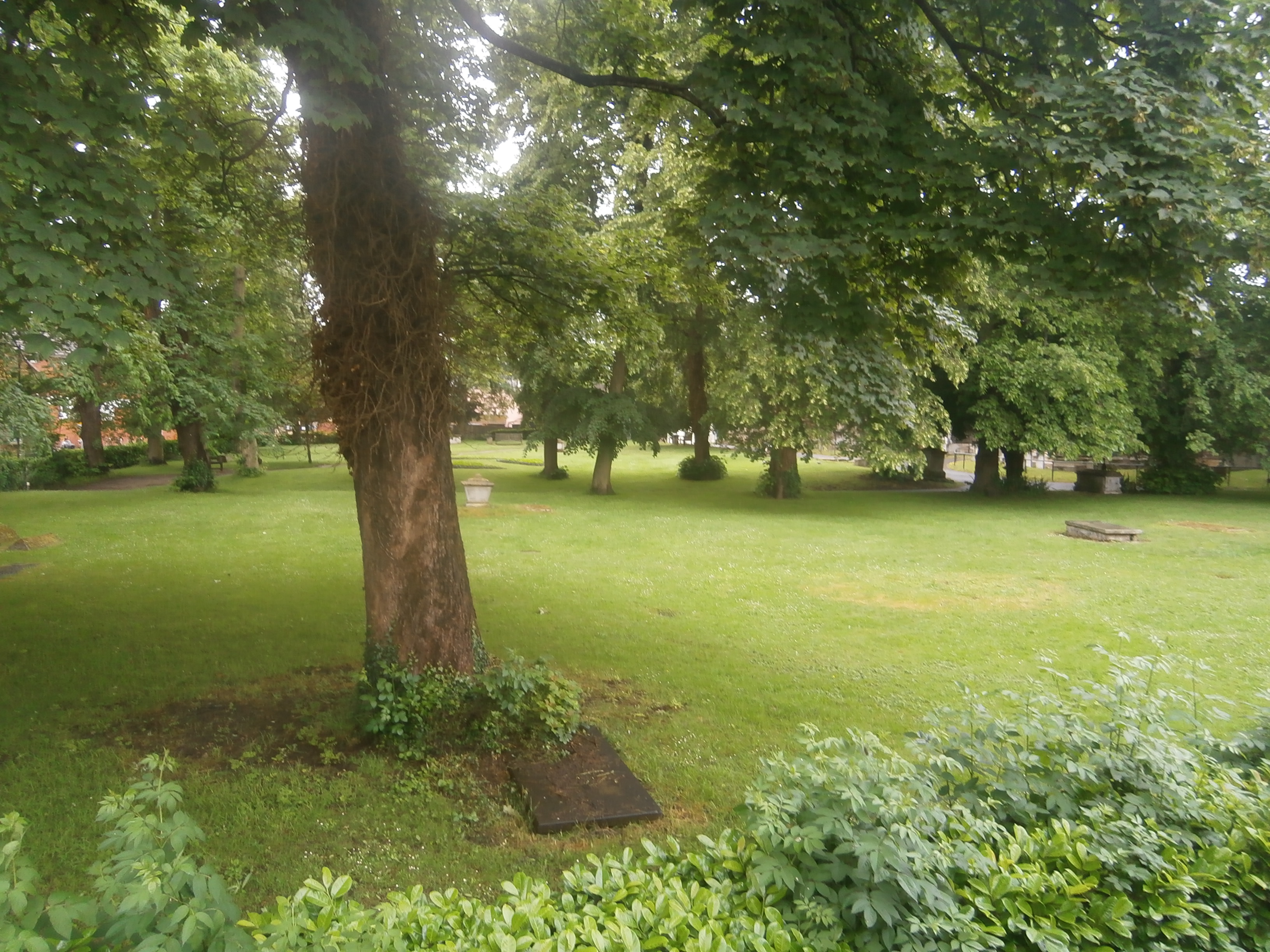 Photo of view from 16 Church Walk, Stowmarket