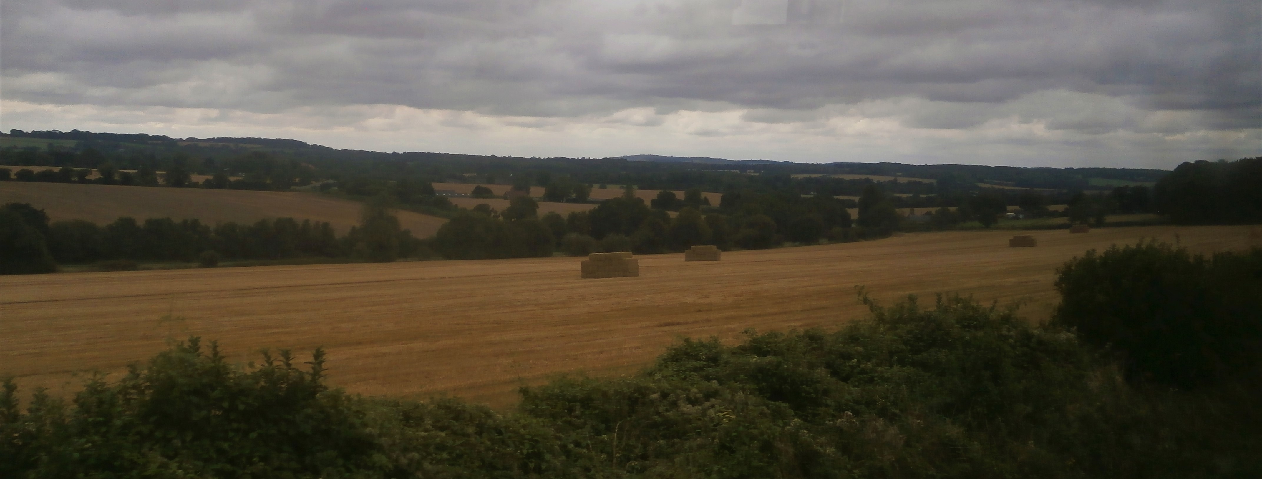 Photo of fields of yellow hay