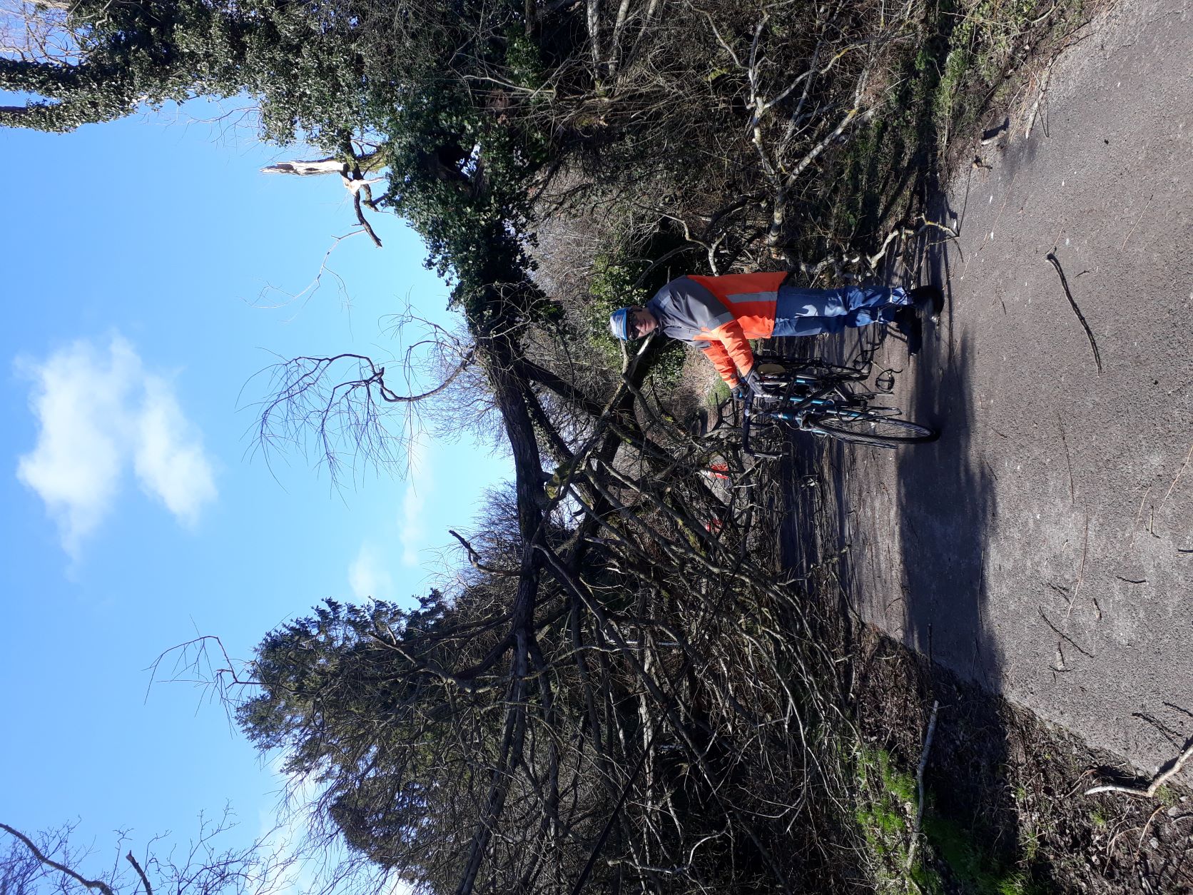 Photo of Phil with the tandem by the fallen tree