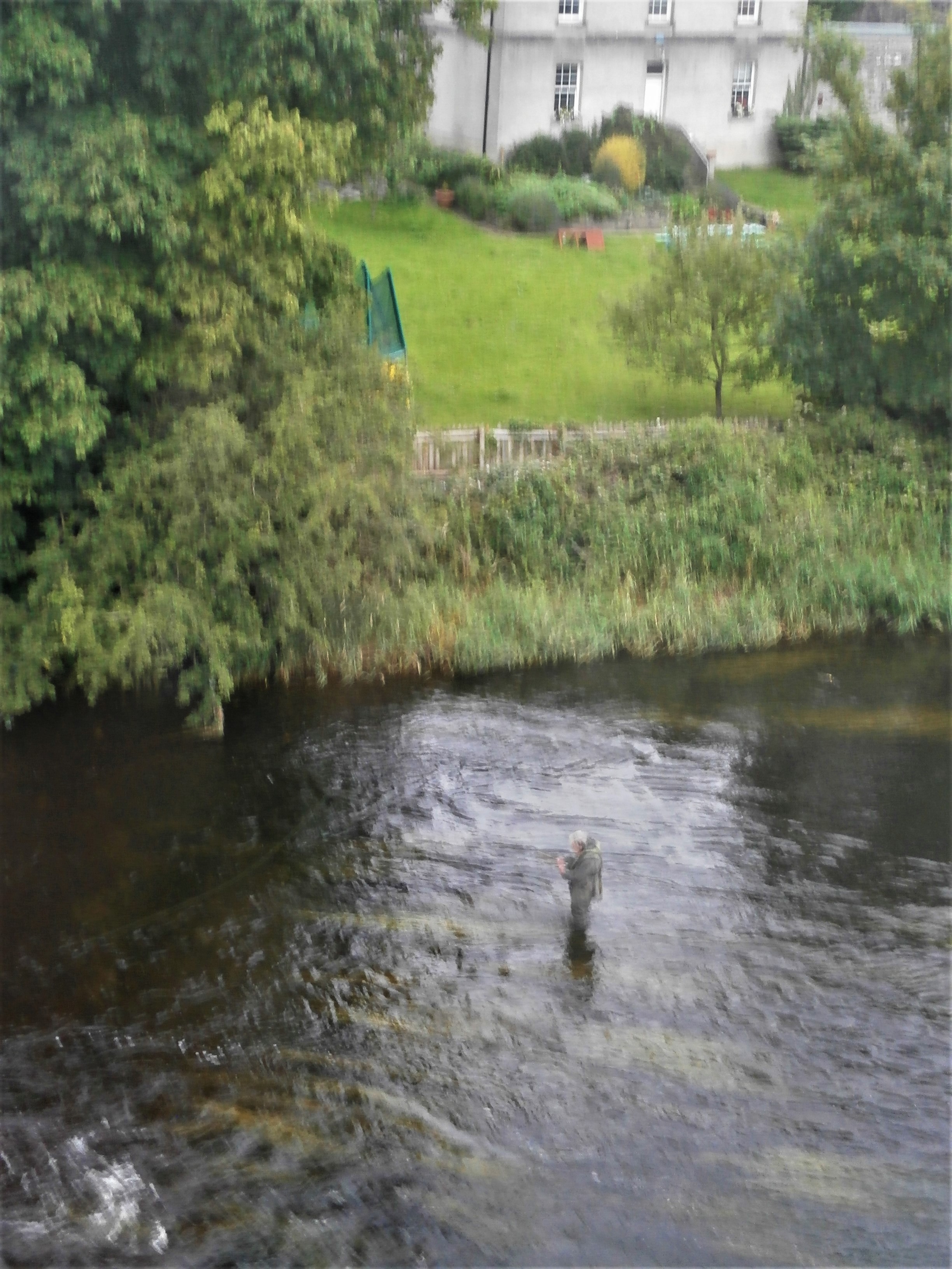 Photo of an early morning angler in the River Garavogue in Sligo