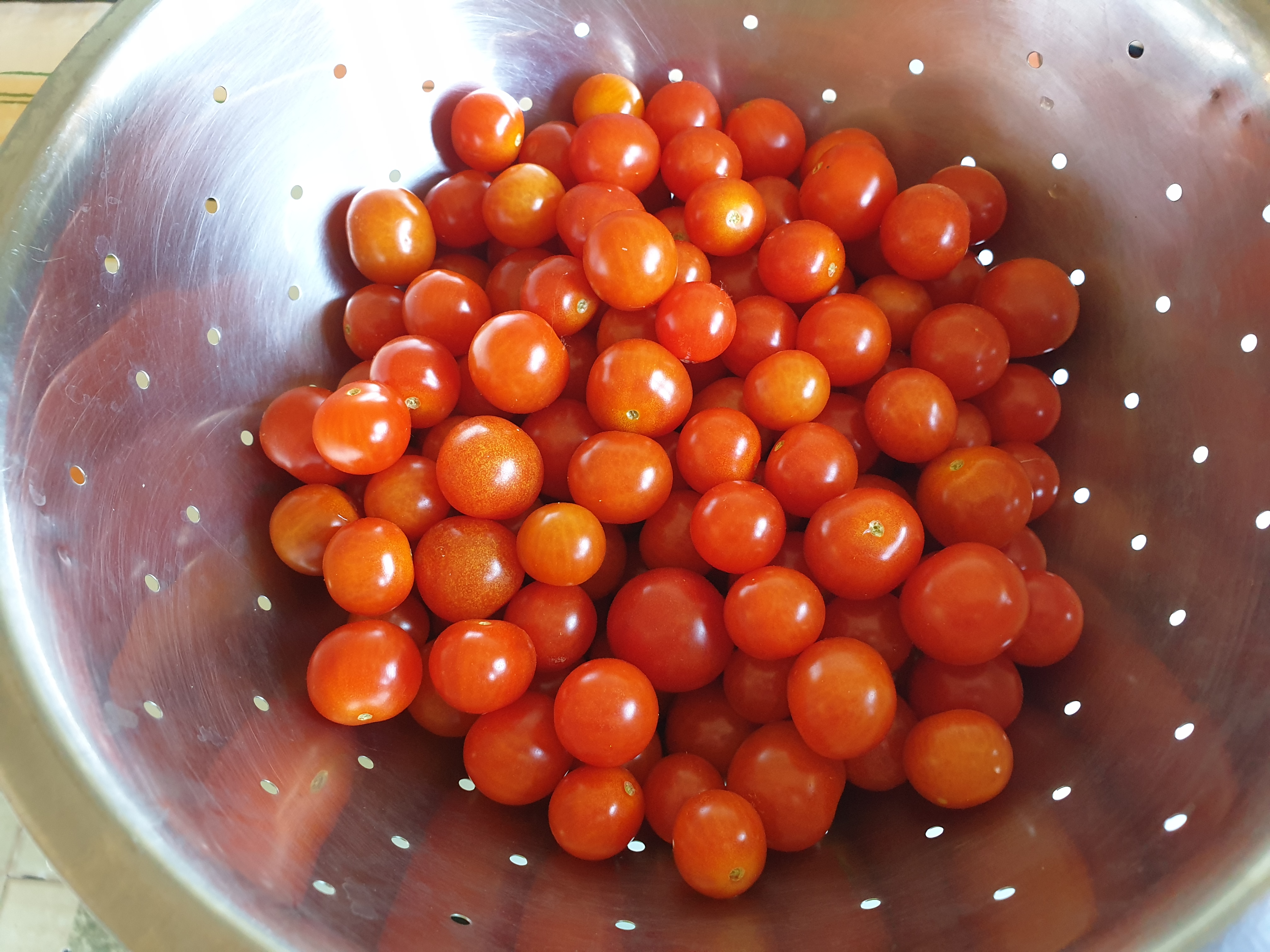 Photo of colander of freshly picked, ripe tomatoes