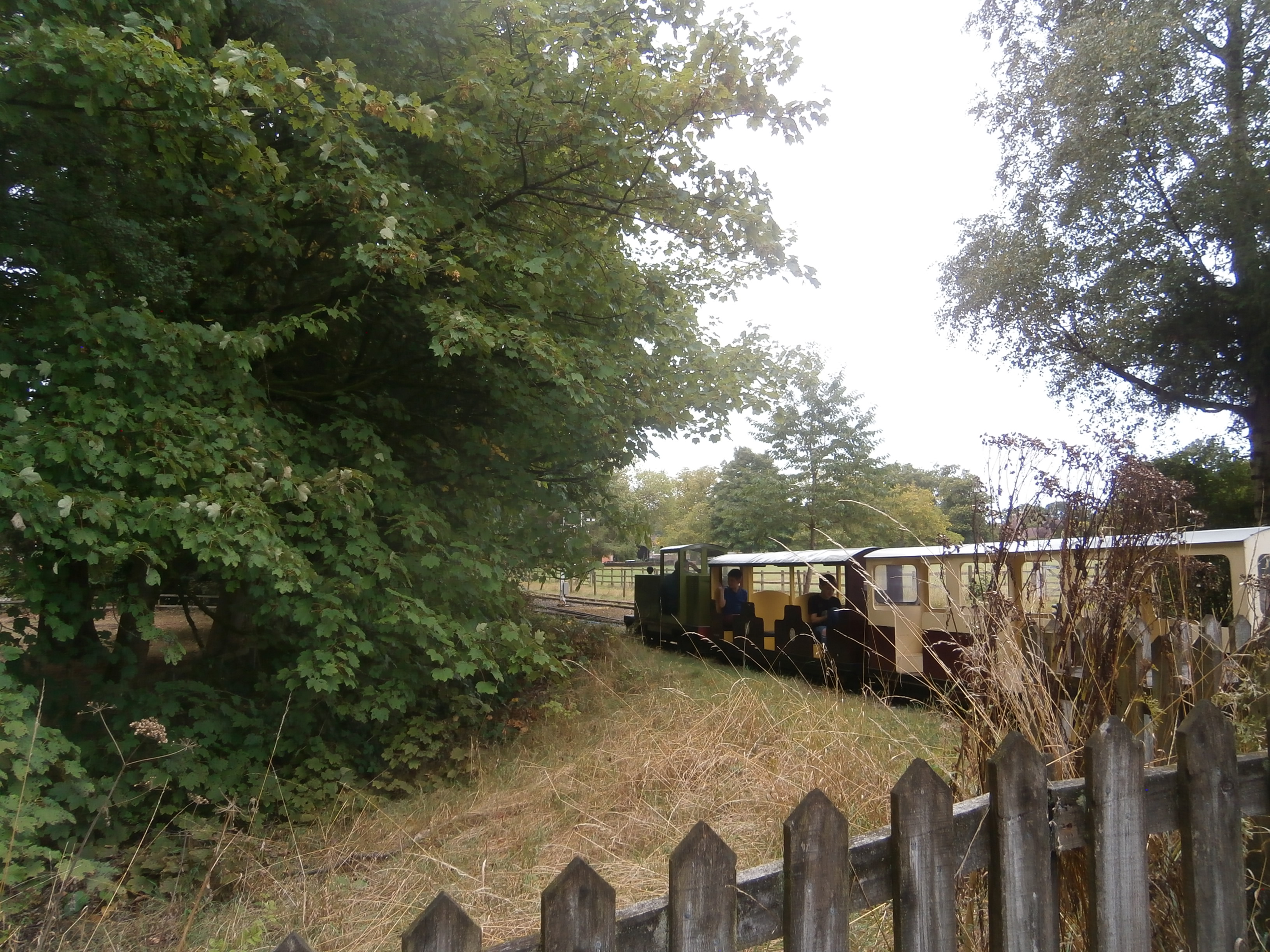Photo of train in Weston Park