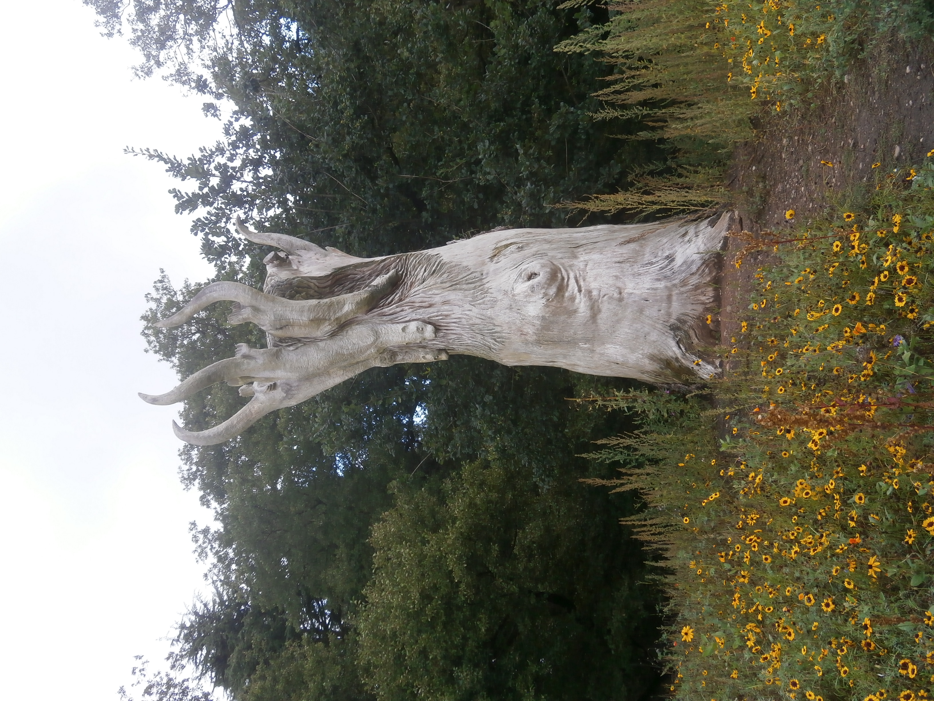 Photo of tree with otters carved on it in Trentham Gardens