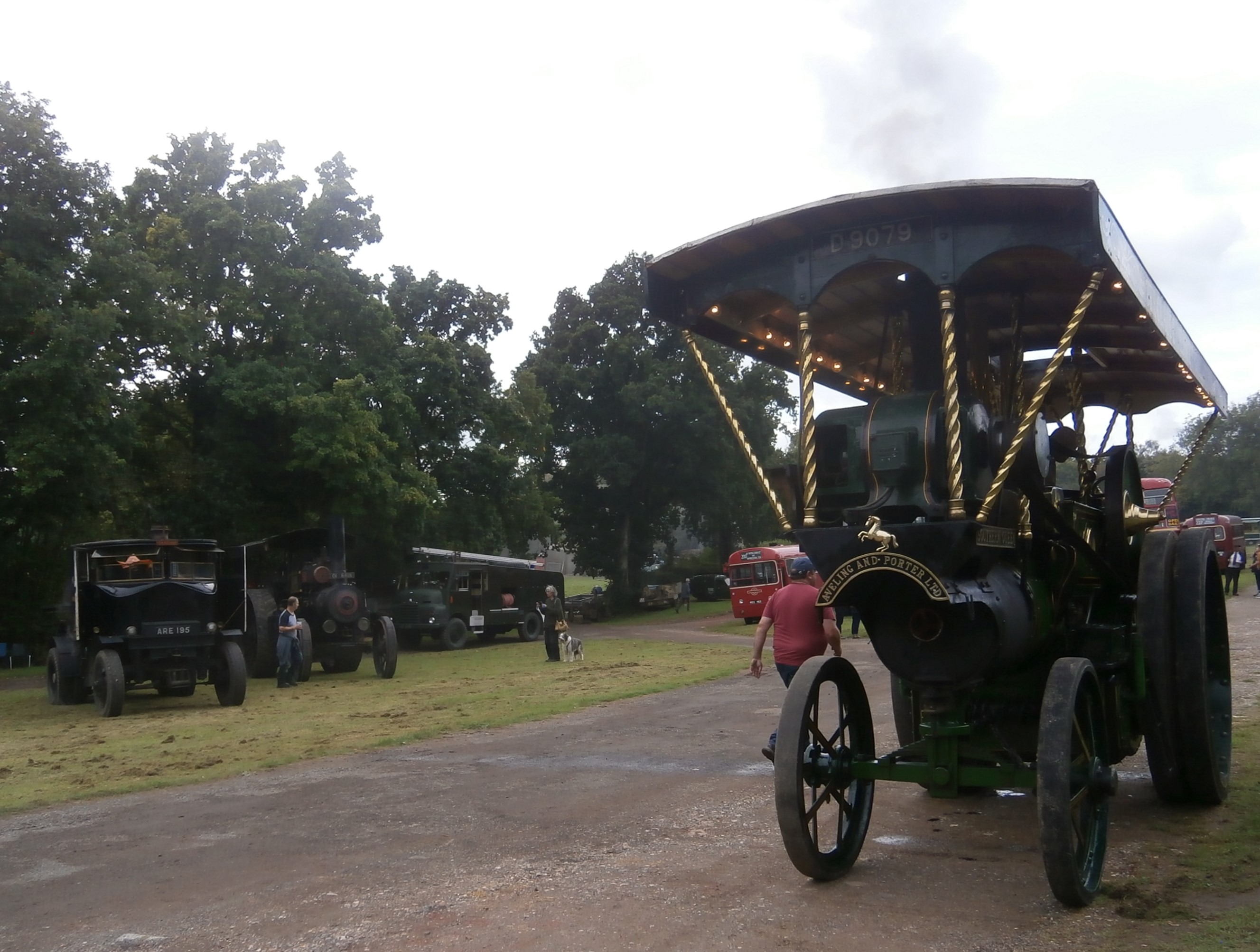 Photo of various traction engines