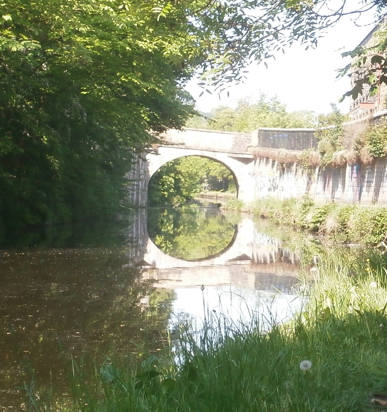 Photo of bridge and trees reflected in Leeds and Liverpool canal