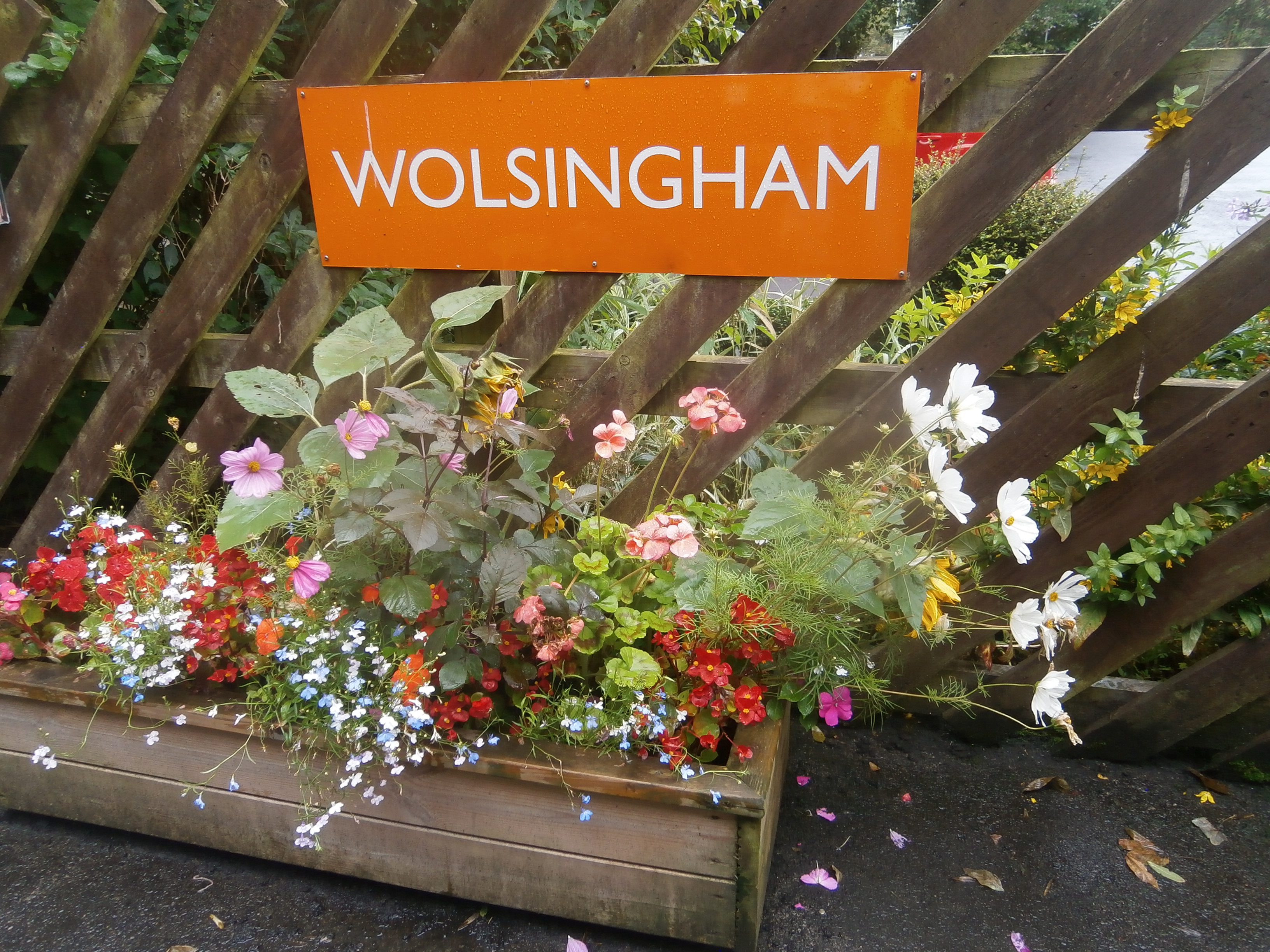 Photo of Weardale Railway - Wolsingham station sign and flowers