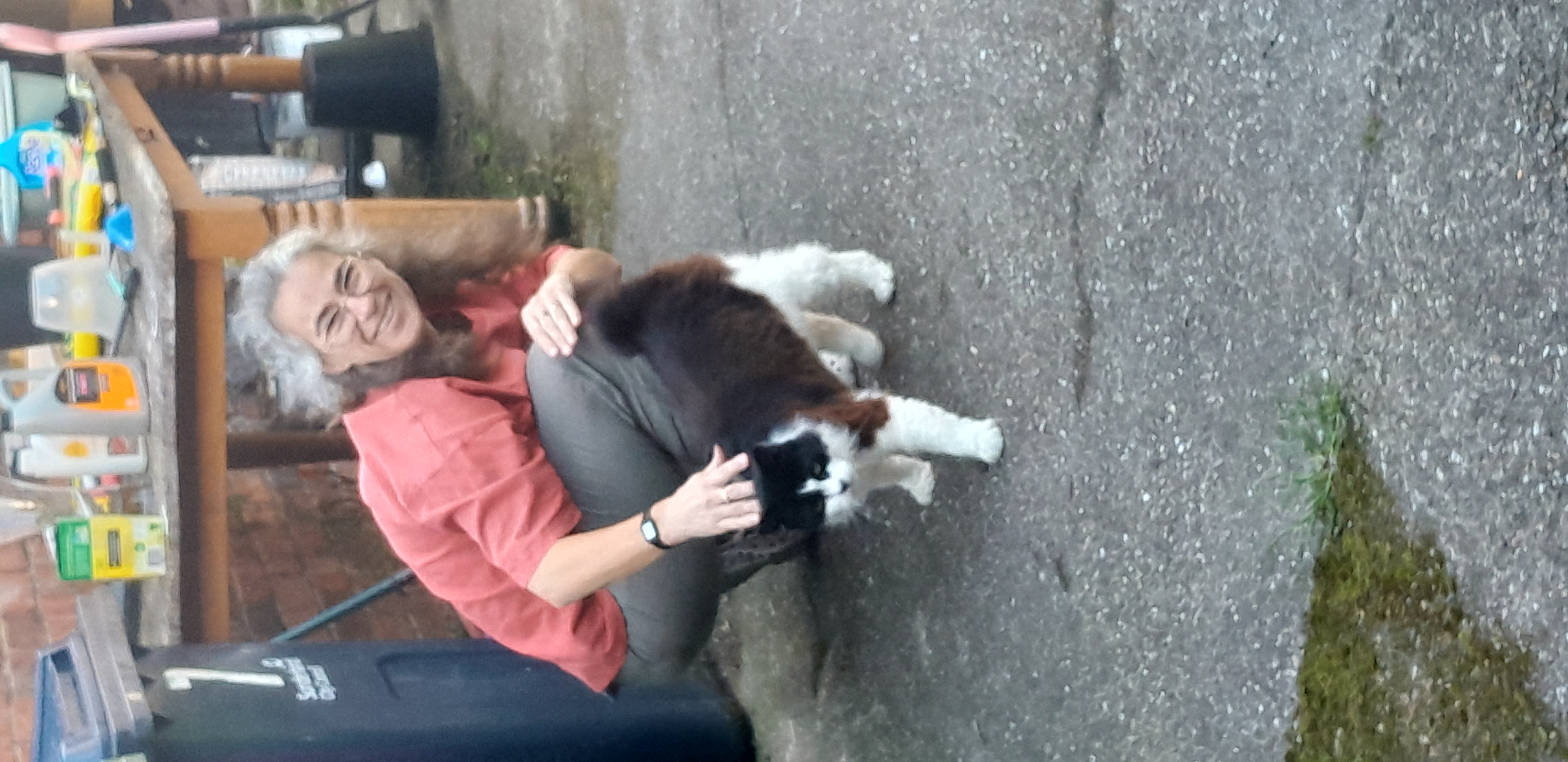 Photo of Sunderland accommodation - Mary and Manx cat