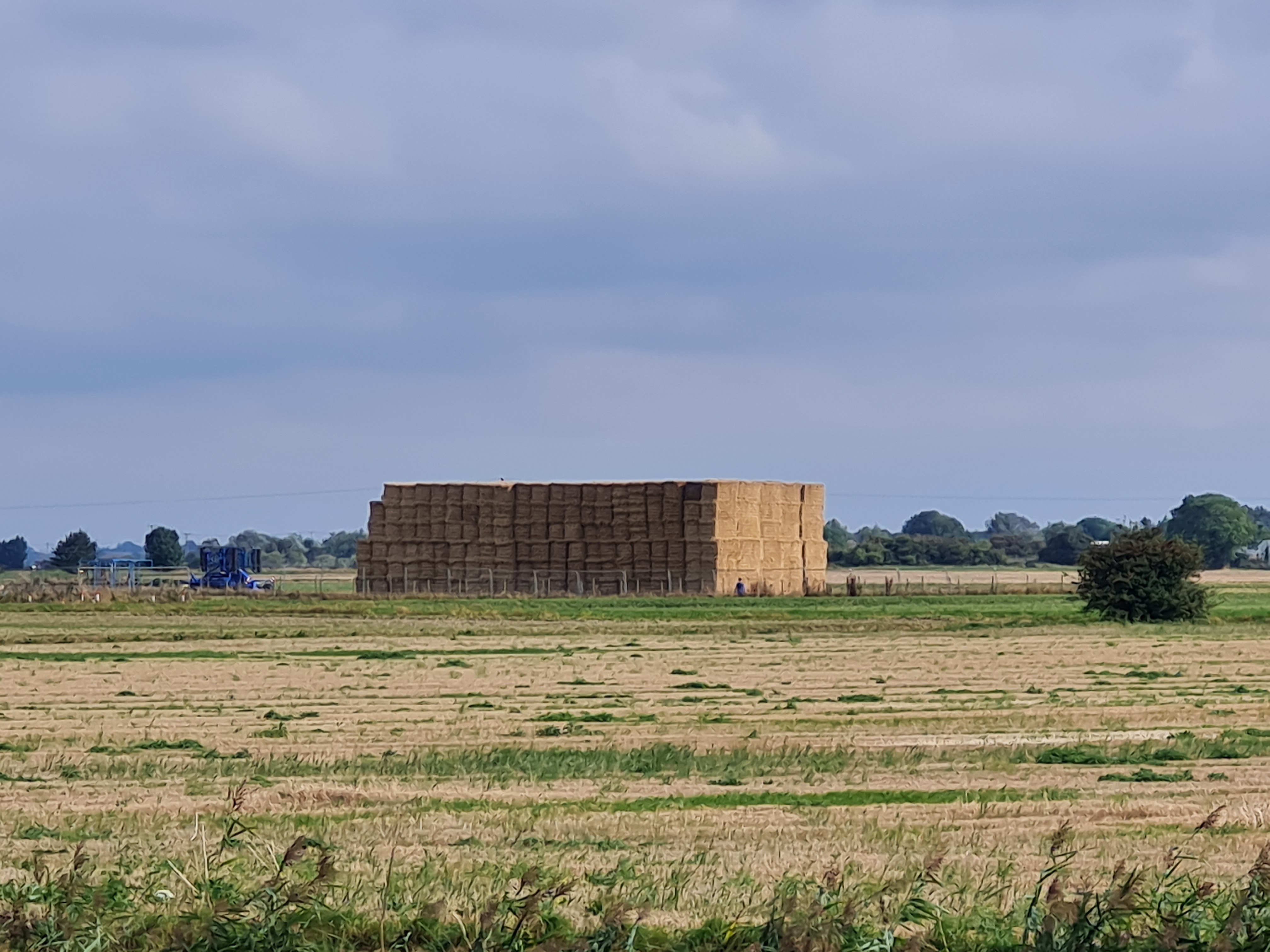 Photo of March - View of haystack from Elm Road at site of disused level crossing