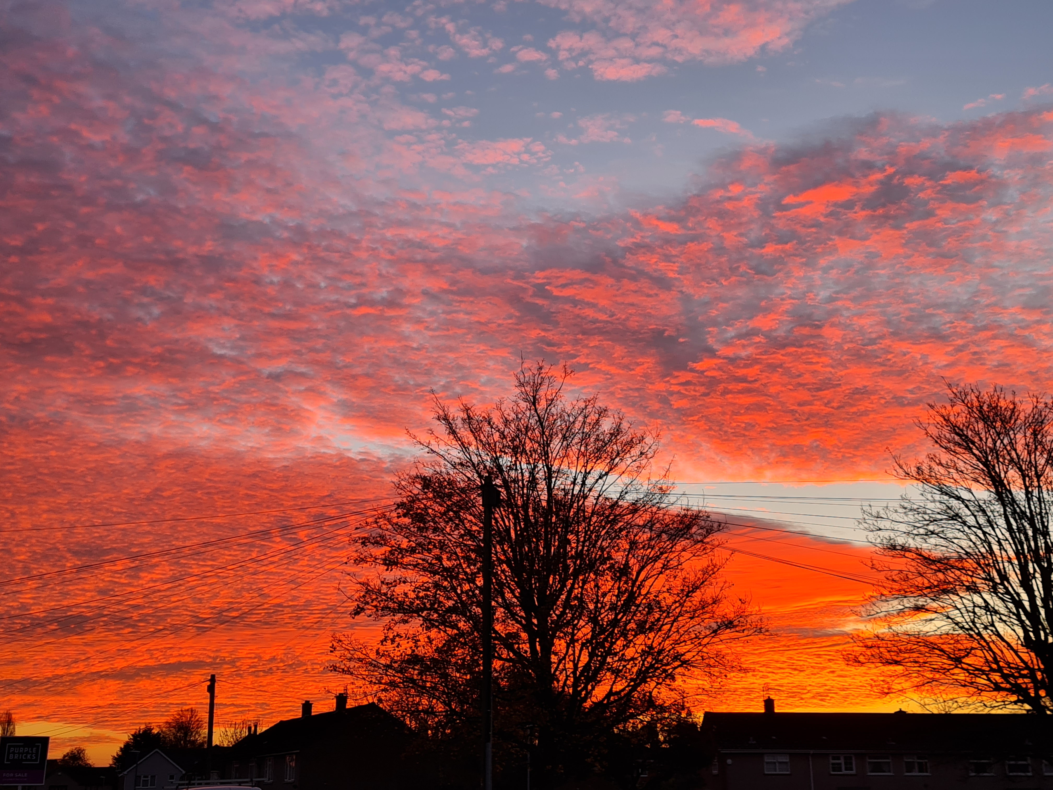 Photo of sunrise over Abbey View Road