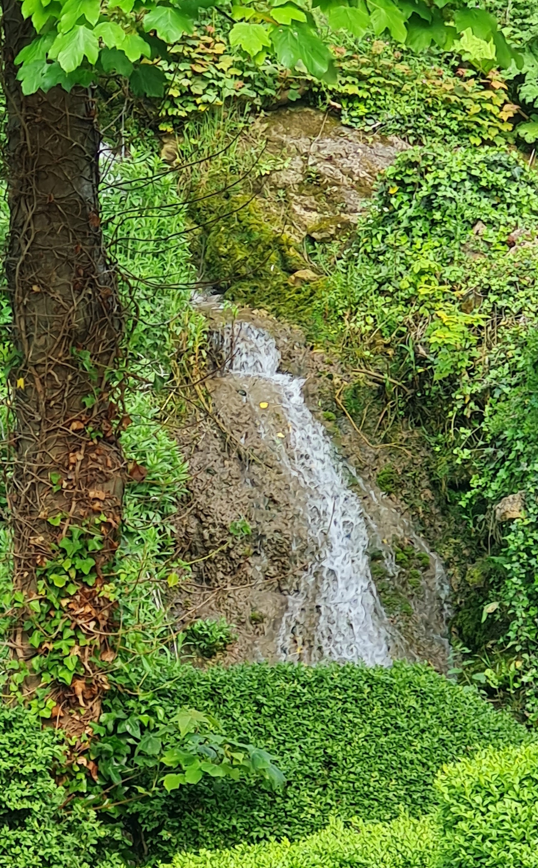 Photo of Dyserth - Waterfall