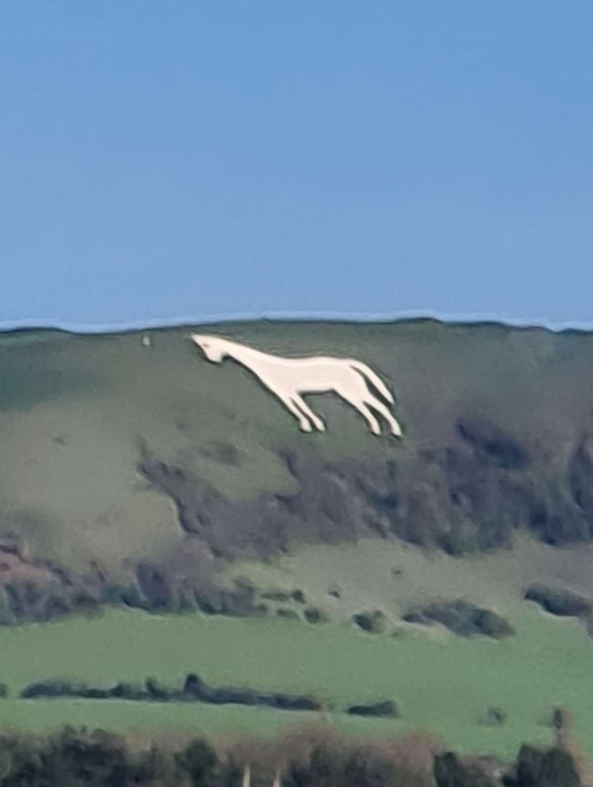 Photo of Westbury White Horse