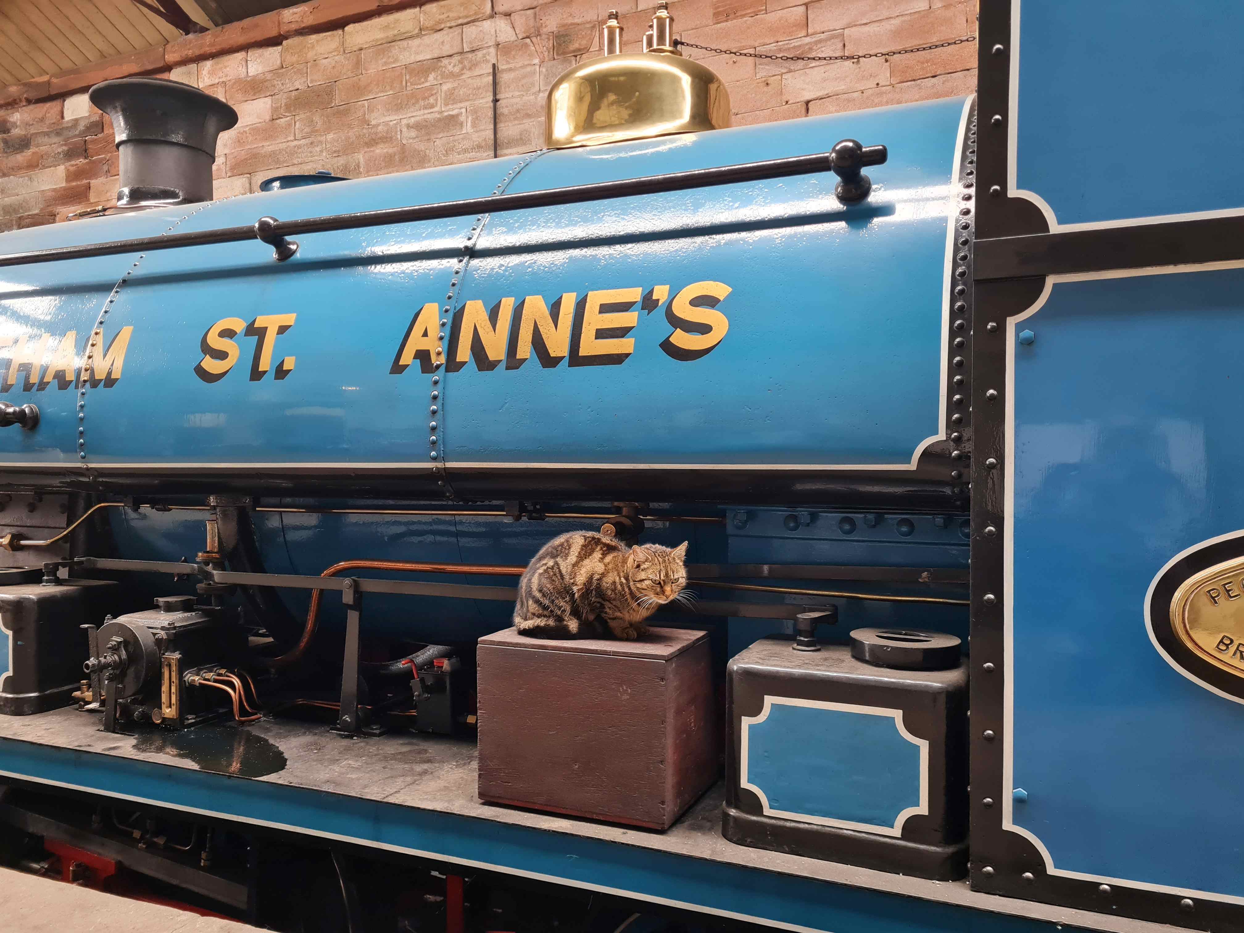 Photo of a cat on the engine at Stainmore railway