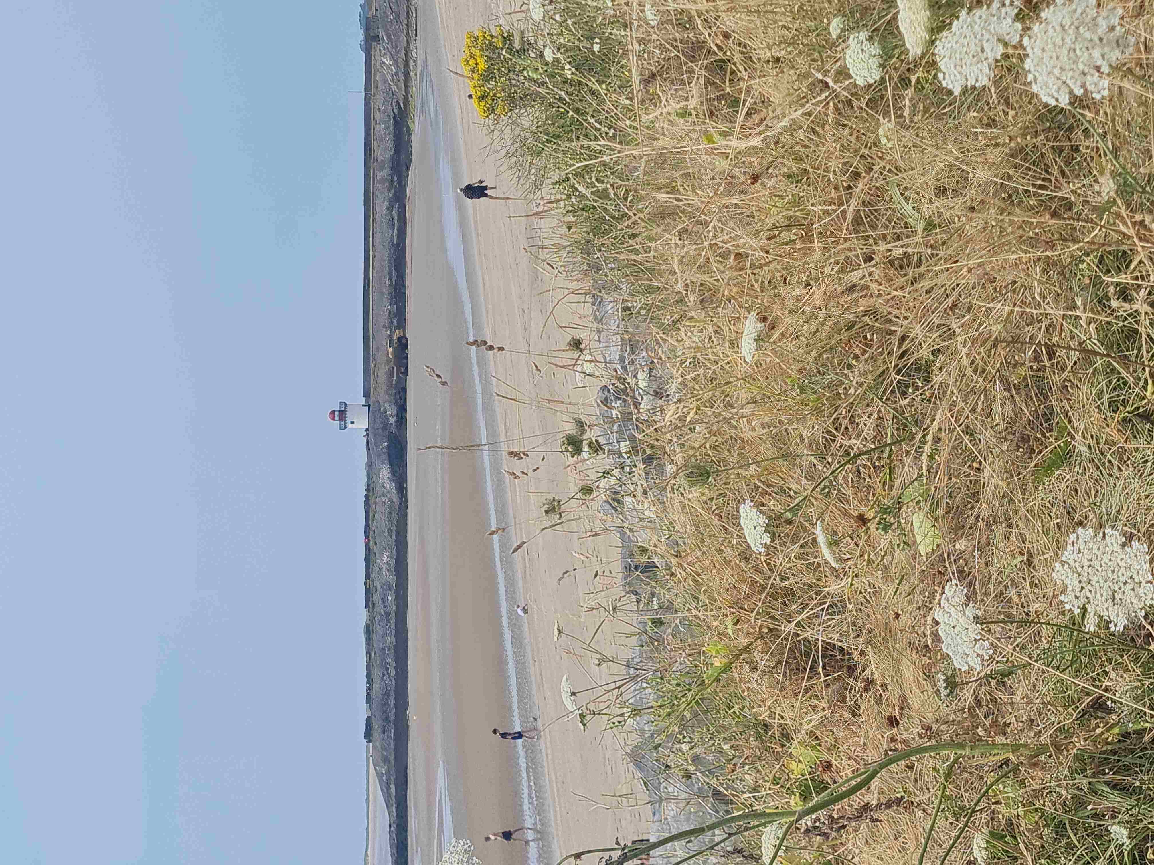 Photo of Burry Port lighthouse, beach and plants
