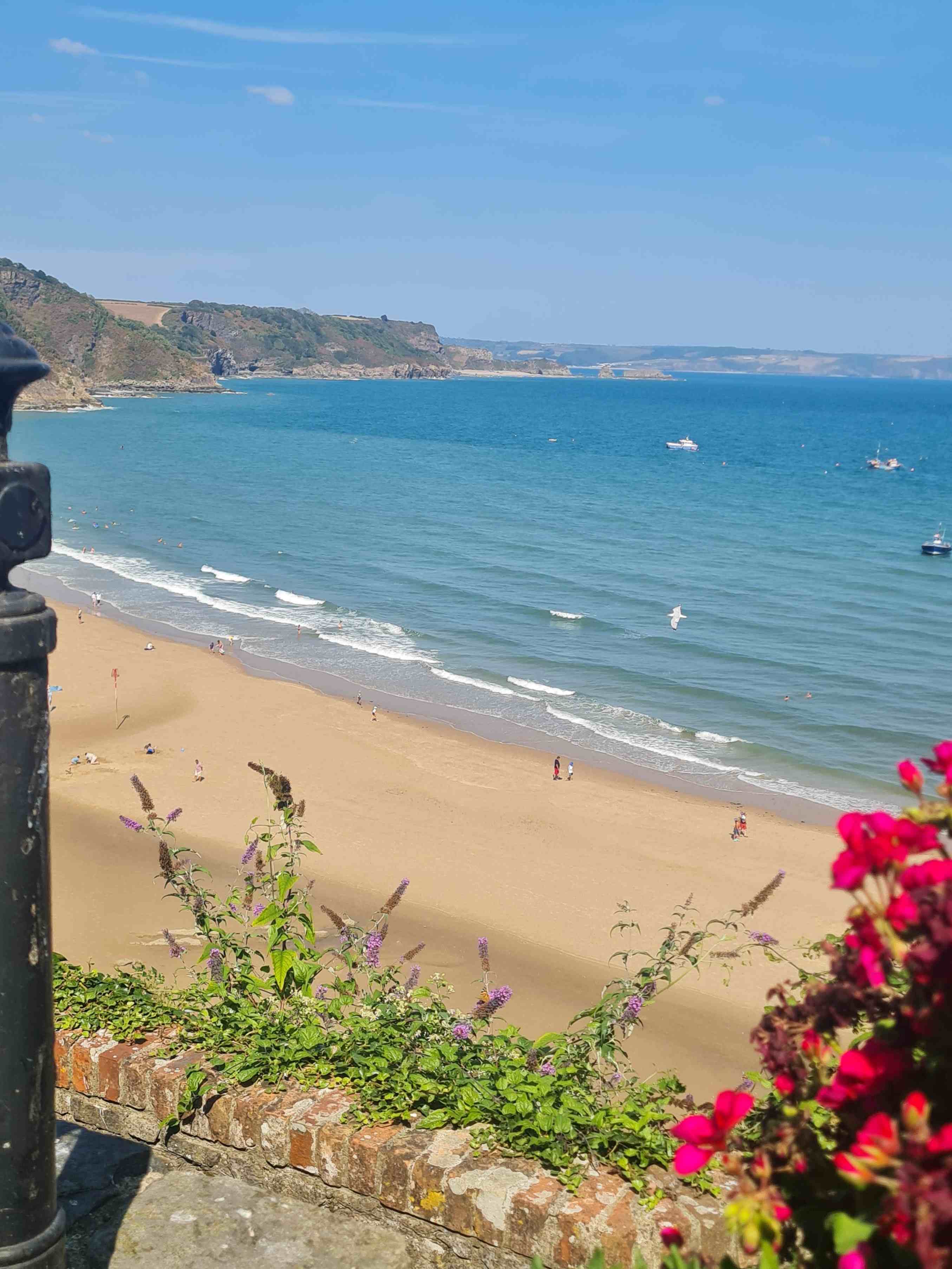 Photo of Tenby beach frames by flowers