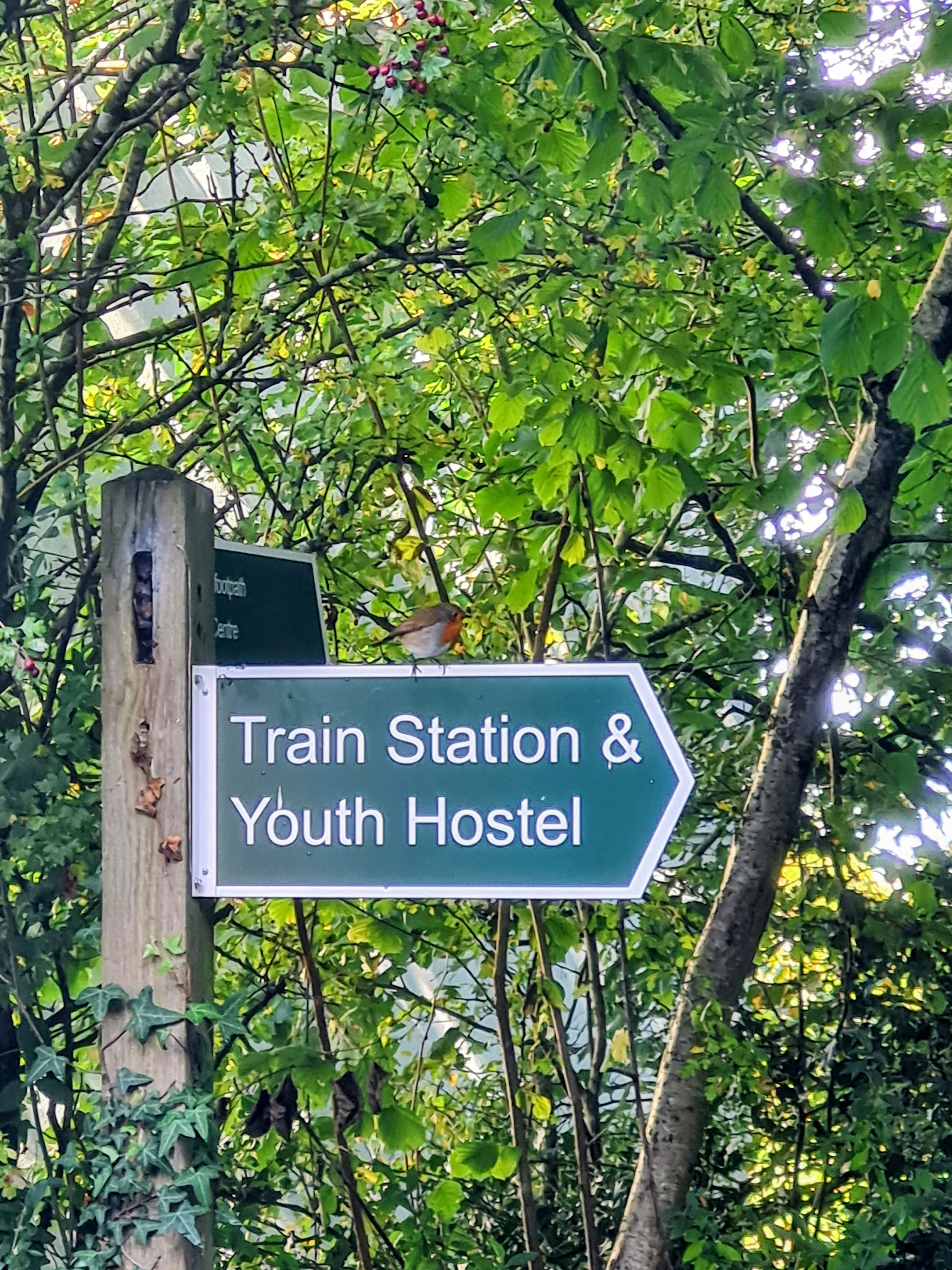 Photo of Robin on Train Station and Youth Hostel sign